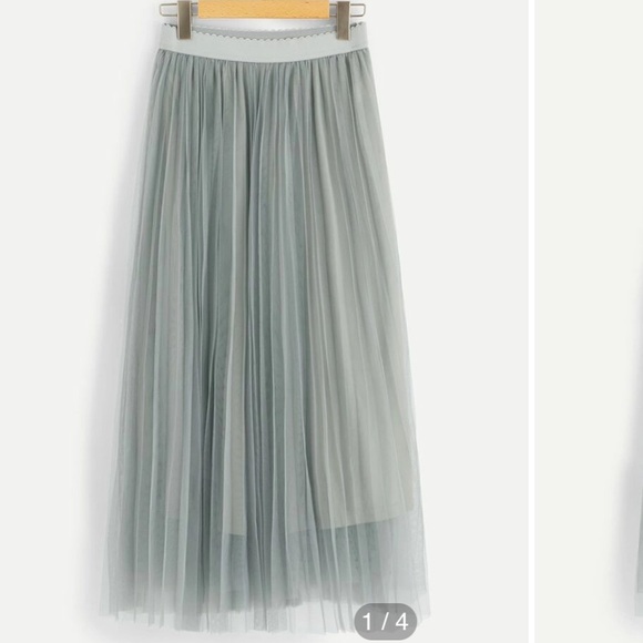 Dresses & Skirts - Pleated Tulle Skirt